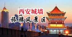 淫荡妇女嫰穴视频中国陕西-西安城墙旅游风景区